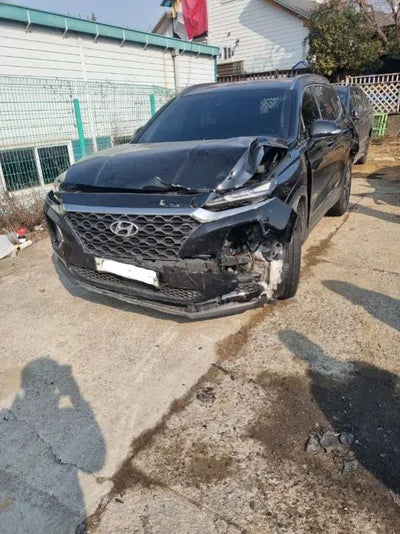 2019 Hyundai Santa FE 564KMKMHS381CDKU0 VIN:564KMKMHS381CDKU0