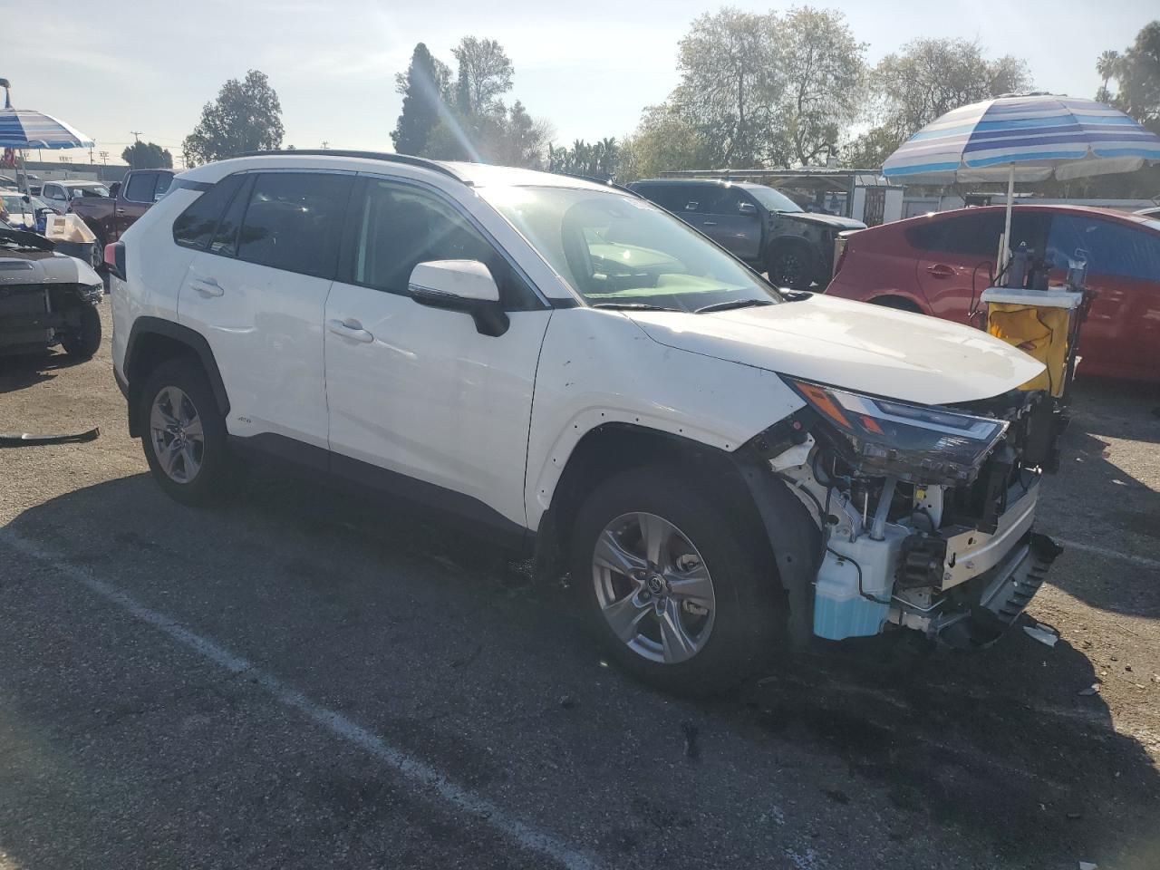2024 TOYOTA RAV4 LE VIN:JTMMWRFV2RD270859