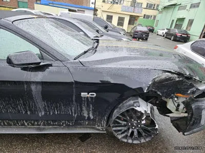 2019 Ford Mustang GT 738KM1FATP8FF9K51 VIN:738KM1FATP8FF9K51