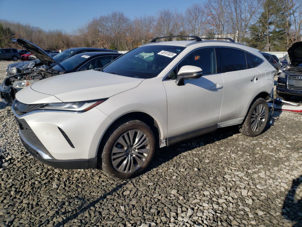 2023 TOYOTA VENZA LE VIN:JTEAAAAH5PJ123580