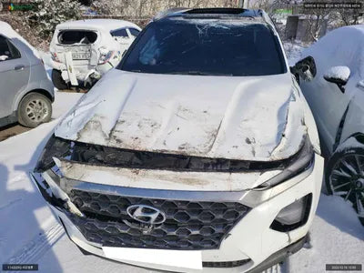 2019 Hyundai Santa FE KMHS381ABKU177949 VIN:KMHS381ABKU177949