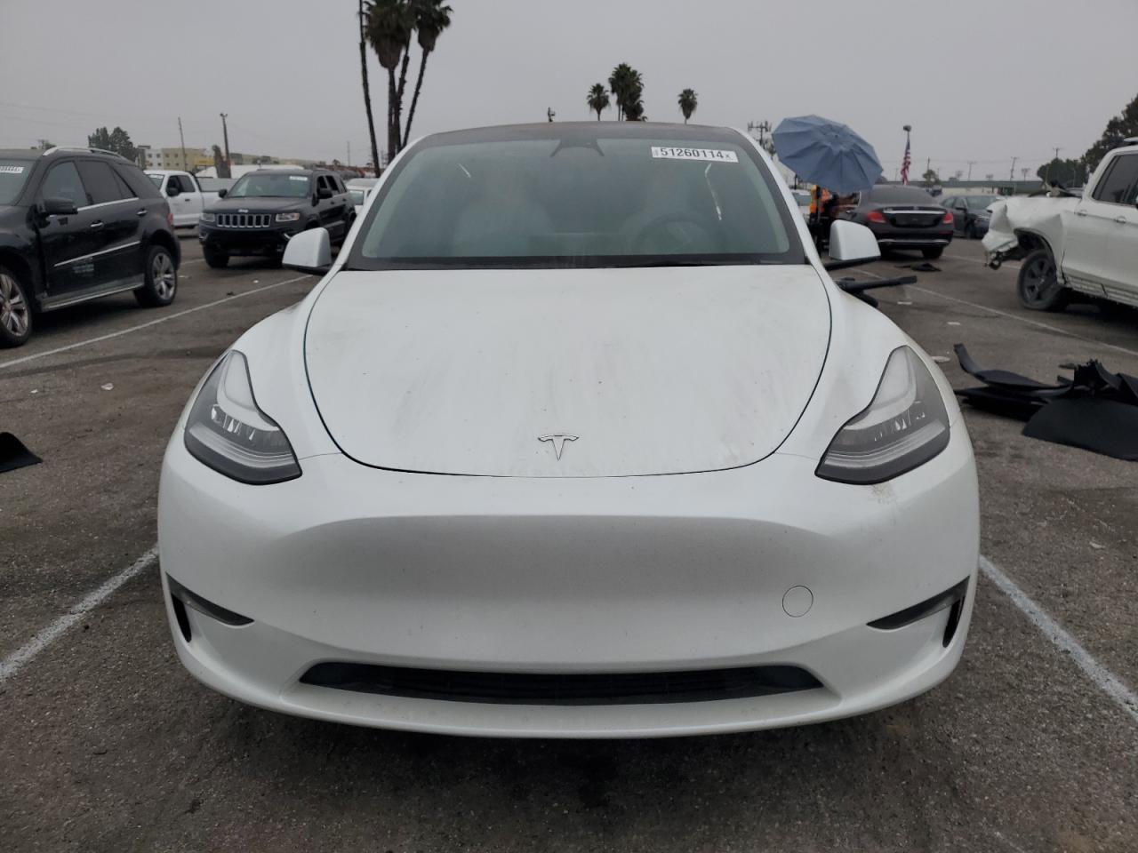 2023 TESLA MODEL Y  VIN:7SAYGDEE5PA115229