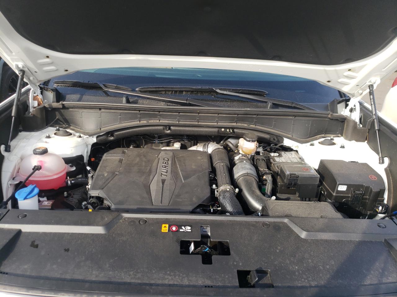 2024 HYUNDAI SANTA FE LIMITED VIN:5NMP4DGLXRH013233