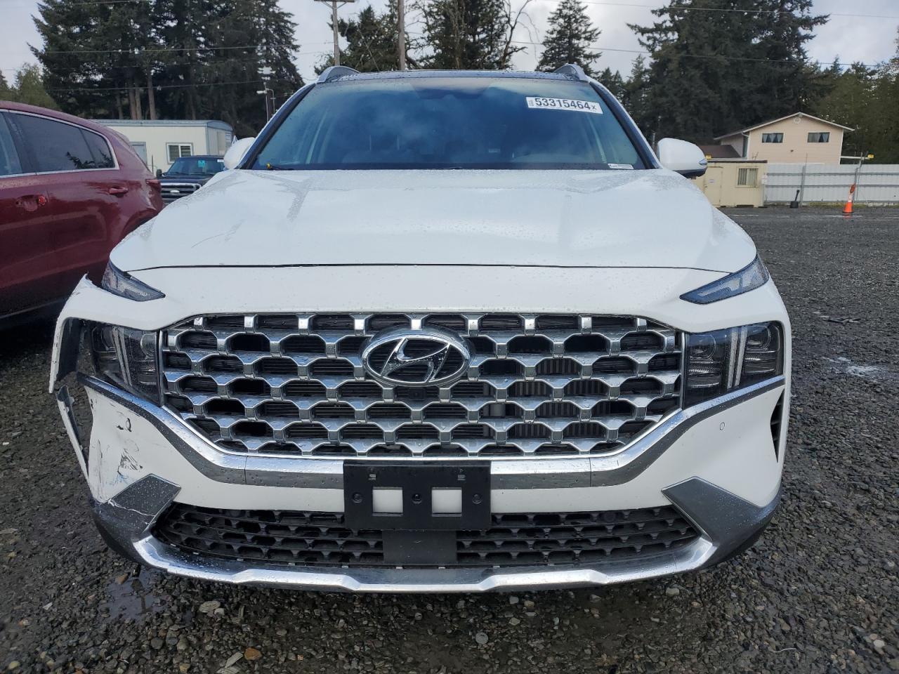 2023 HYUNDAI SANTA FE LIMITED VIN:5NMS4DAL8PH649018