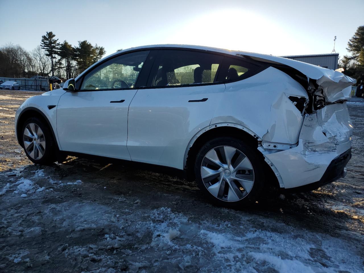 2023 TESLA MODEL Y  VIN:7SAYGDEE5PA129745