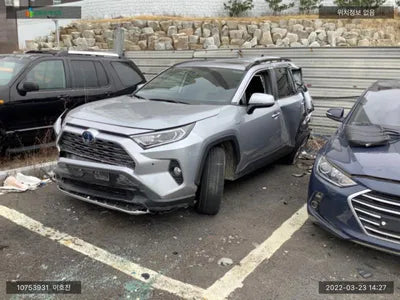 2019 Toyota RAV4 JTMDWRFV9LD044986 VIN:JTMDWRFV9LD044986