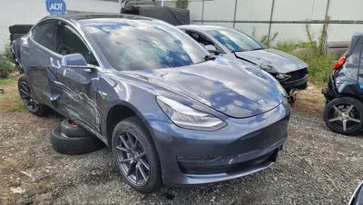 2020 Tesla Model 3 5YJ3E1EB9LF725407 VIN:5YJ3E1EB9LF725407