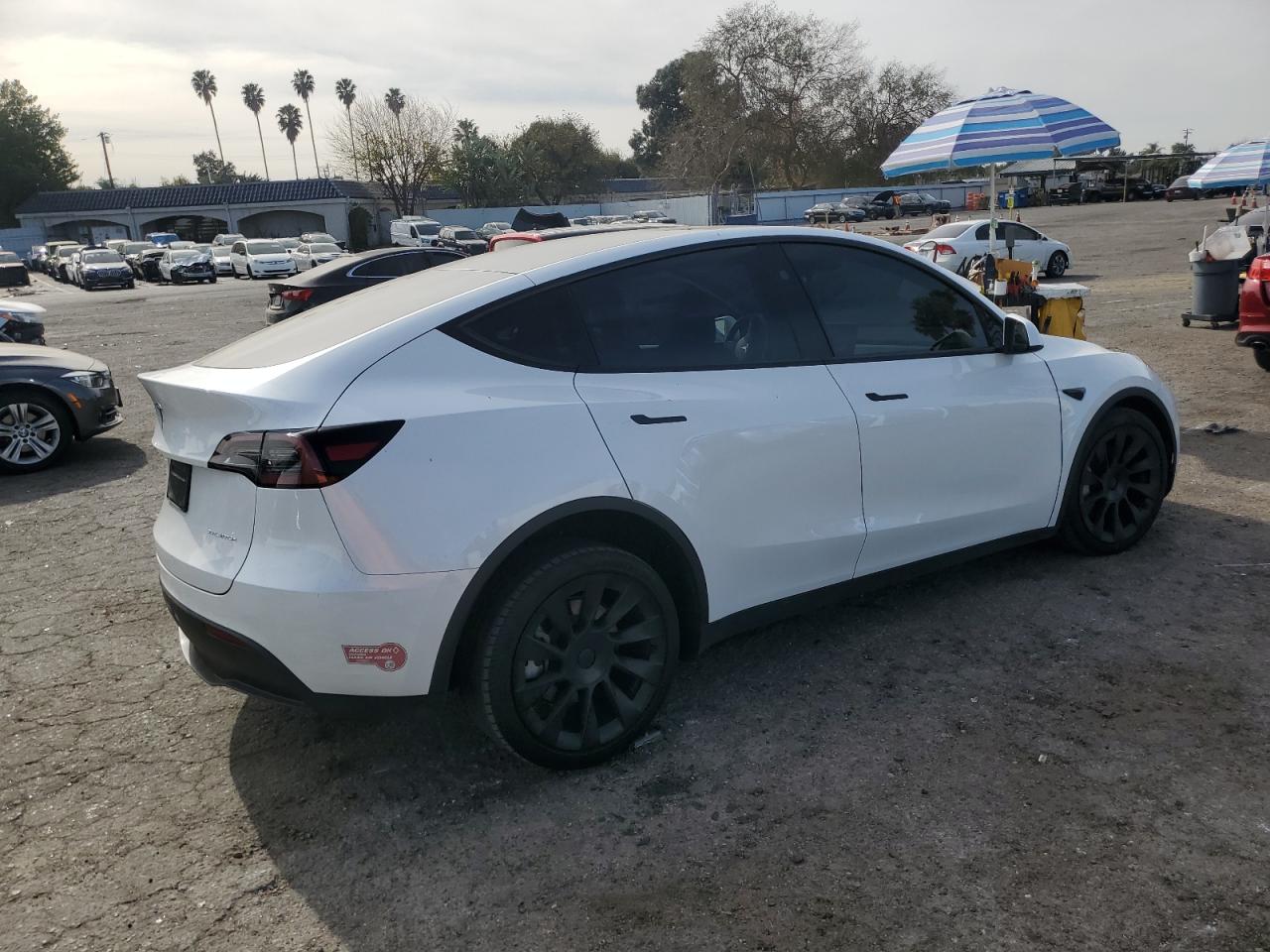 2023 TESLA MODEL Y  VIN:SCA664S50FUX53044