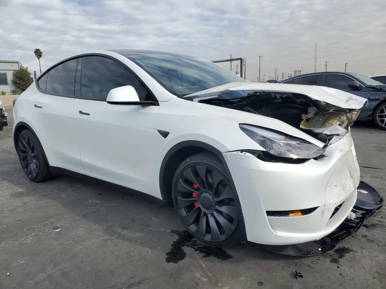 2024 TESLA MODEL Y  VIN:7SAYGDEF8RF179750