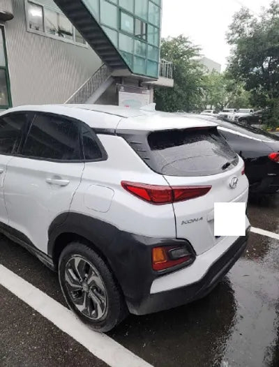2020 Hyundai Kona KMHK381EGLU046876 VIN:KMHK381EGLU046876