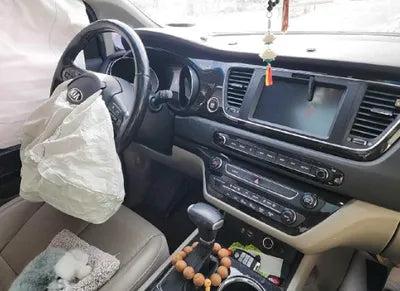 2020 Kia Carnival KNAMB81ABLS625801 VIN:KNAMB81ABLS625801
