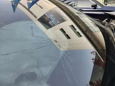 2021 BMW 220 WBA31AL00M7J80036 VIN:WBA31AL00M7J80036