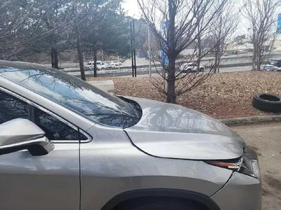 2017 Lexus RX 450 VIN: