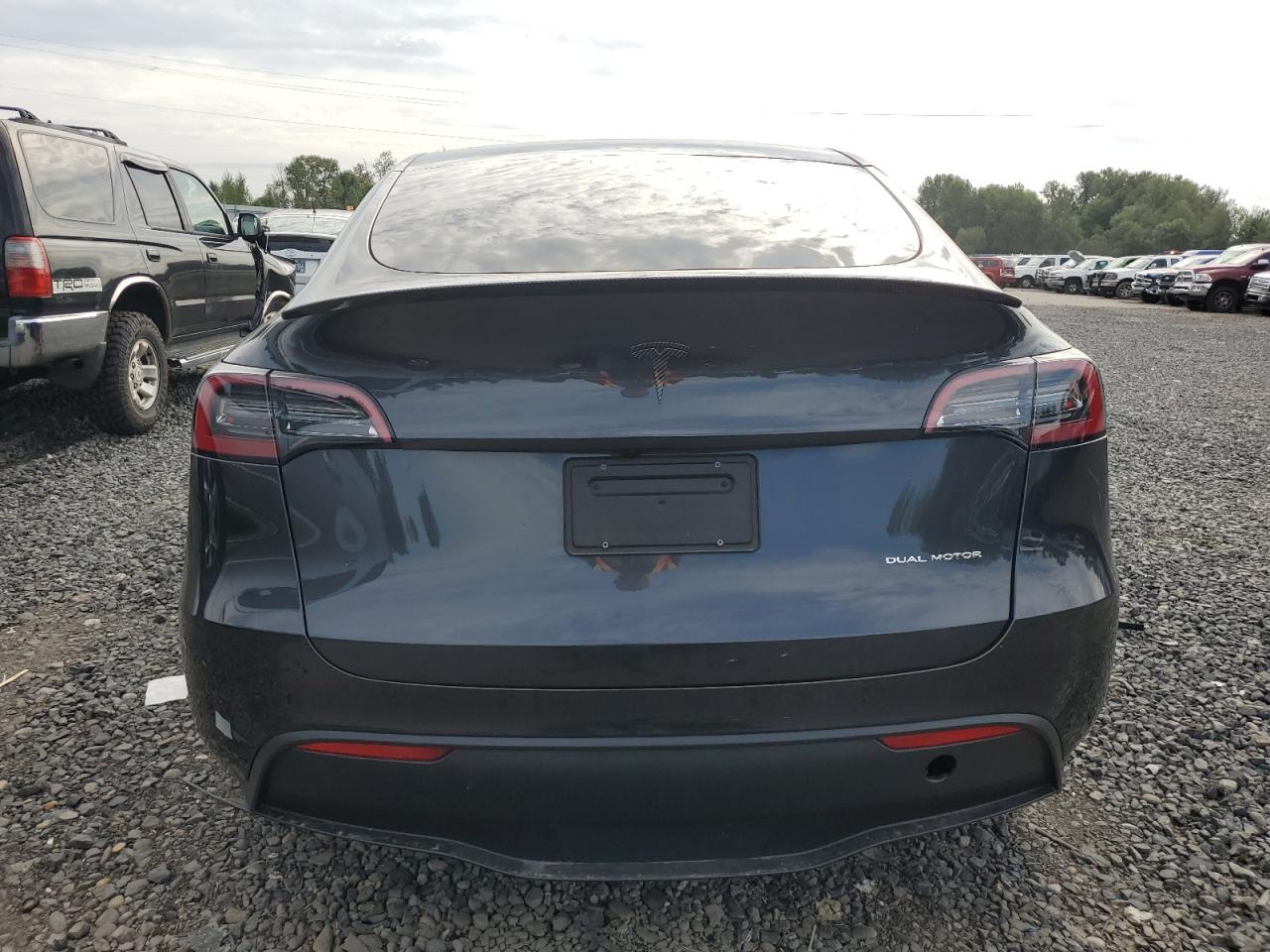 2024 TESLA MODEL Y  VIN:7SAYGDEE8RF991380