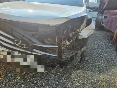 2017 Hyundai Santa FE 351KMKMHSW81UBHU7 VIN:351KMKMHSW81UBHU7