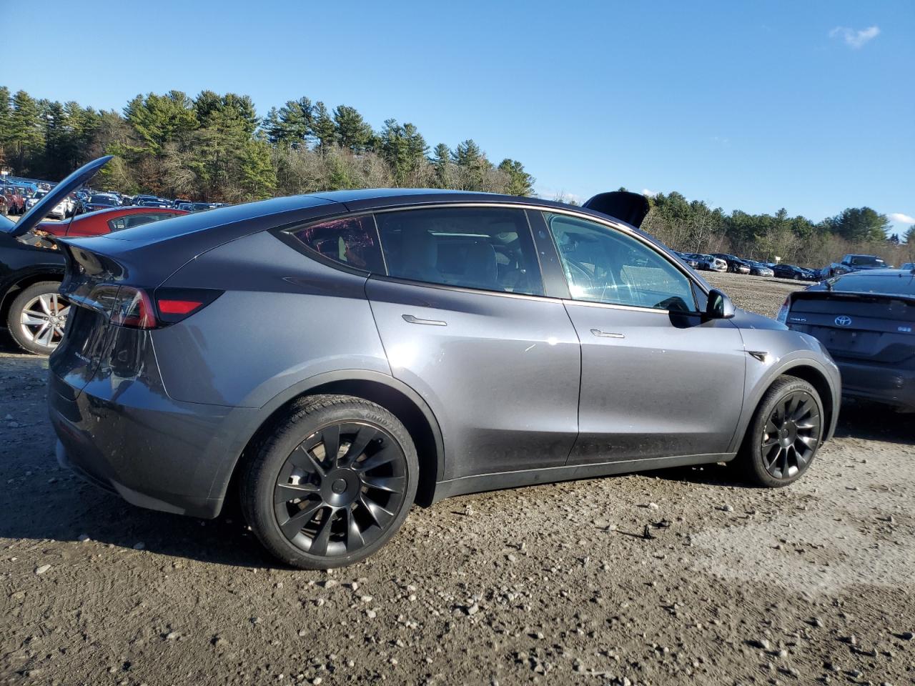 2023 TESLA MODEL Y  VIN:7SAYGDEE6PF884129