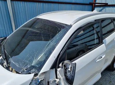 2021 Hyundai Tucson KMHJ3812GLU356090 VIN:KMHJ3812GLU356090