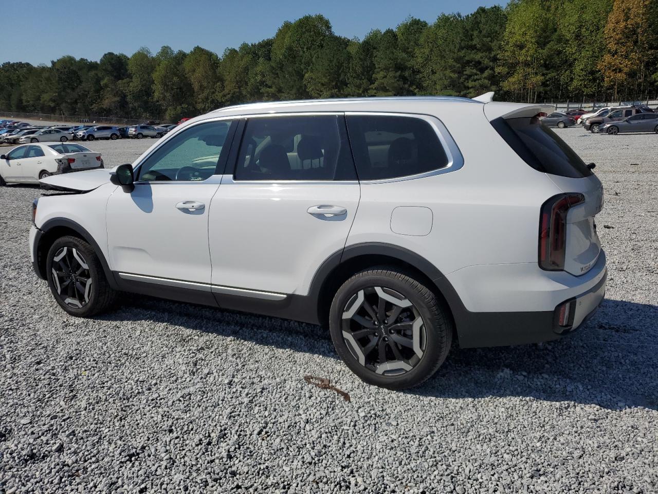 2024 KIA TELLURIDE EX VIN:5XYP34GC0RG447500