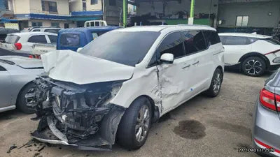 2019 Kia Carnival KNAME81ABKS485887 VIN:KNAME81ABKS485887