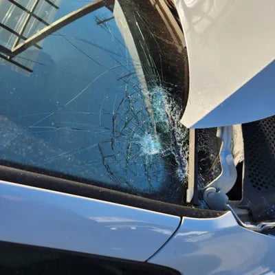 2016 Volkswagen Golf WVWZZZAUZGW022384 VIN:WVWZZZAUZGW022384
