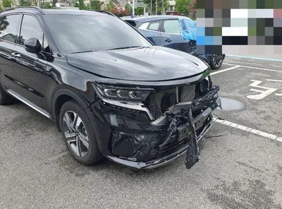 2021 Kia Sorento KNARJ81GDMA034439 VIN:KNARJ81GDMA034439