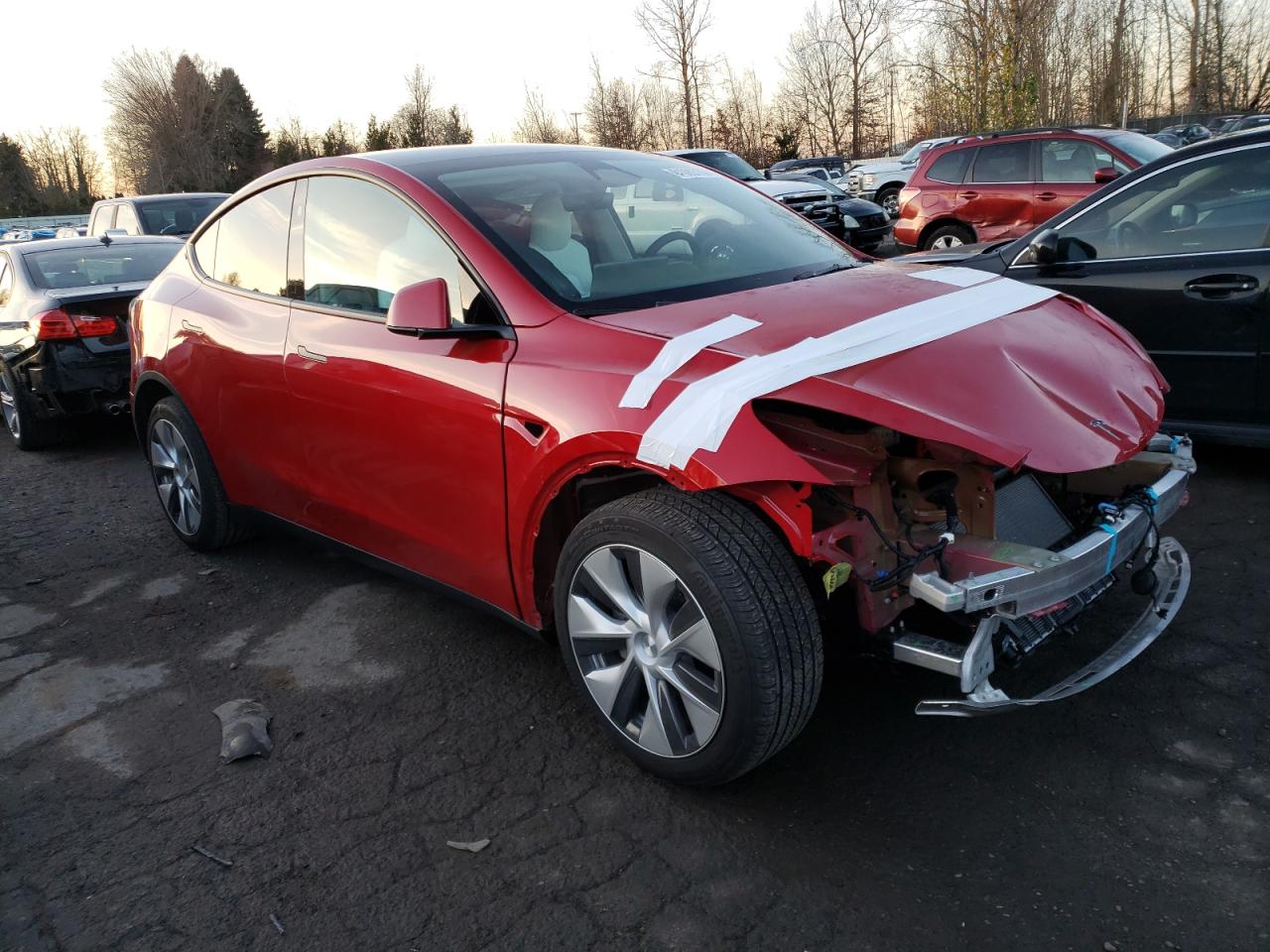 2023 TESLA MODEL Y  VIN:7SAYGDEE7PF831651