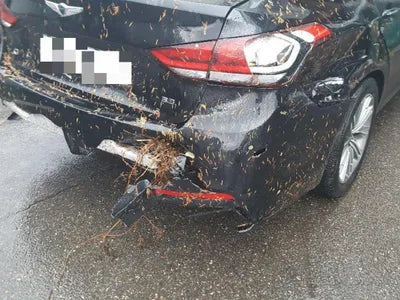 2020 Genesis G80 VIN: