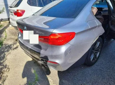 2019 BMW 520 WBAJF5105LWW55090 VIN:WBAJF5105LWW55090