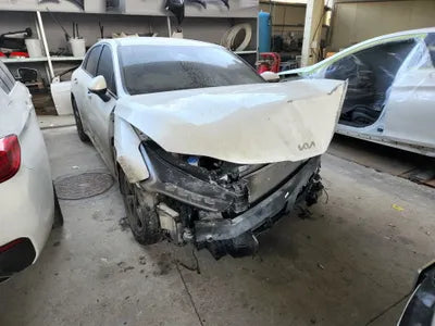 2021 Kia K5 KNAG541BBMA116111 VIN:KNAG541BBMA116111