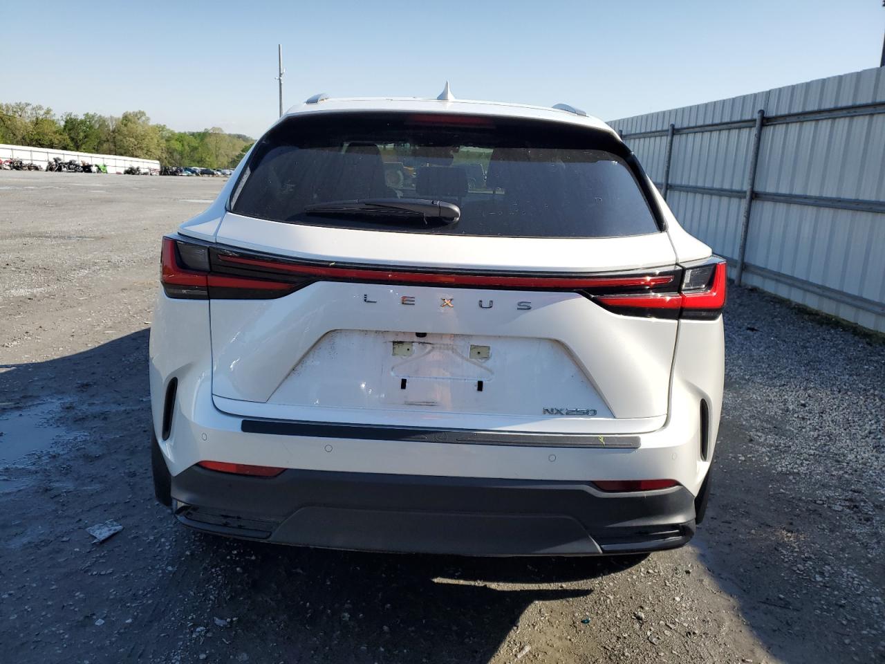 2023 LEXUS NX 250 VIN:JTJGDCAZ6P5010852