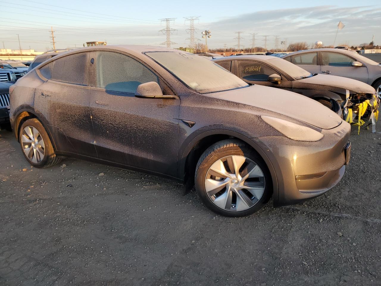 2023 TESLA MODEL Y  VIN:7SAYGDEEXPA188113