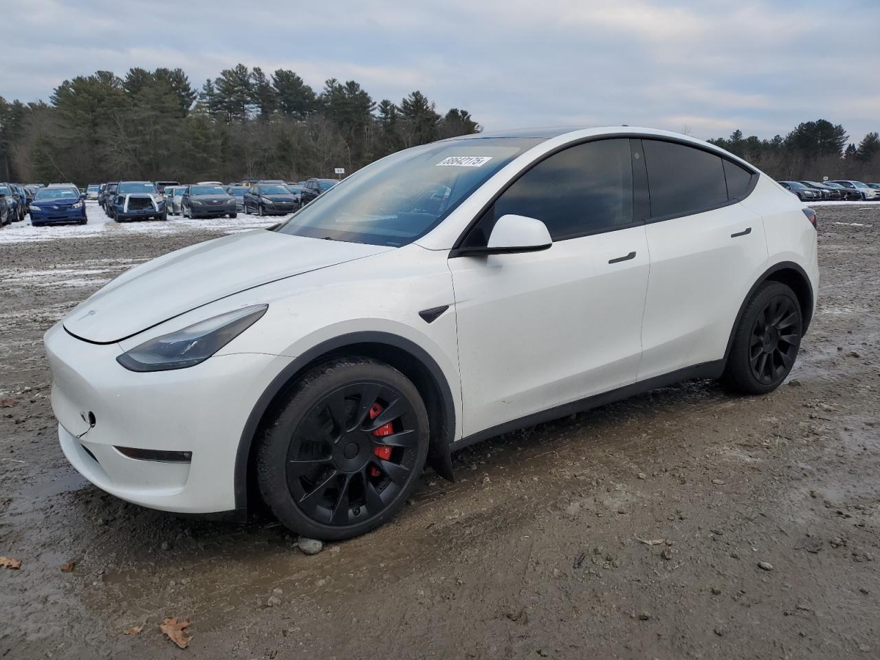 2023 TESLA MODEL Y  VIN:7SAYGDEE1PF675929