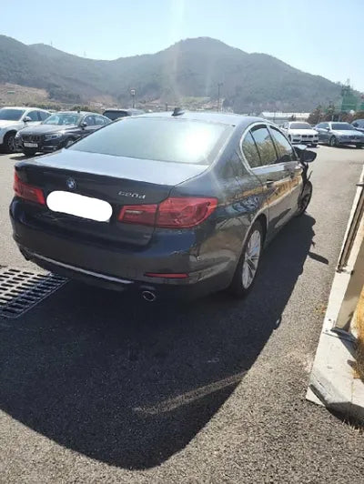 2020 BMW 520 WBAJF3109LWW57168 VIN:WBAJF3109LWW57168