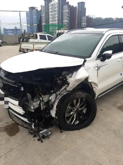 2021 Kia Sorento KNARK81BHMA012892 VIN:KNARK81BHMA012892