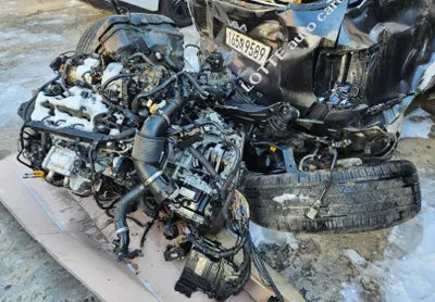 2022 Kia Sorento KNARL81BHNA138566 VIN:KNARL81BHNA138566