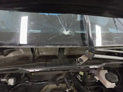 2021 Kia Carnival KNANC81BBMS015376 VIN:KNANC81BBMS015376
