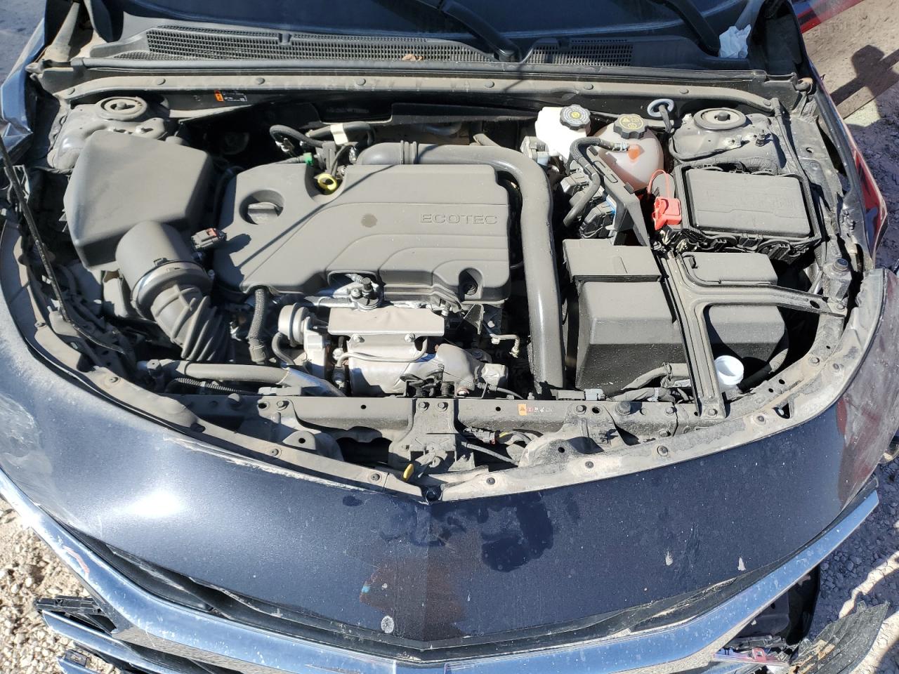 2023 CHEVROLET MALIBU LT VIN:1G1ZD5ST4PF158955