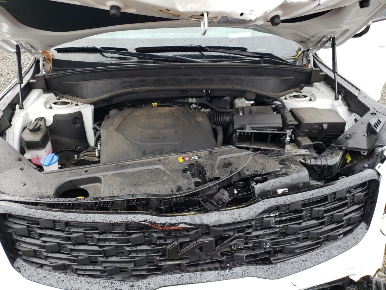 2022 KIA TELLURIDE SX VIN:5XYP5DHC9NG221829