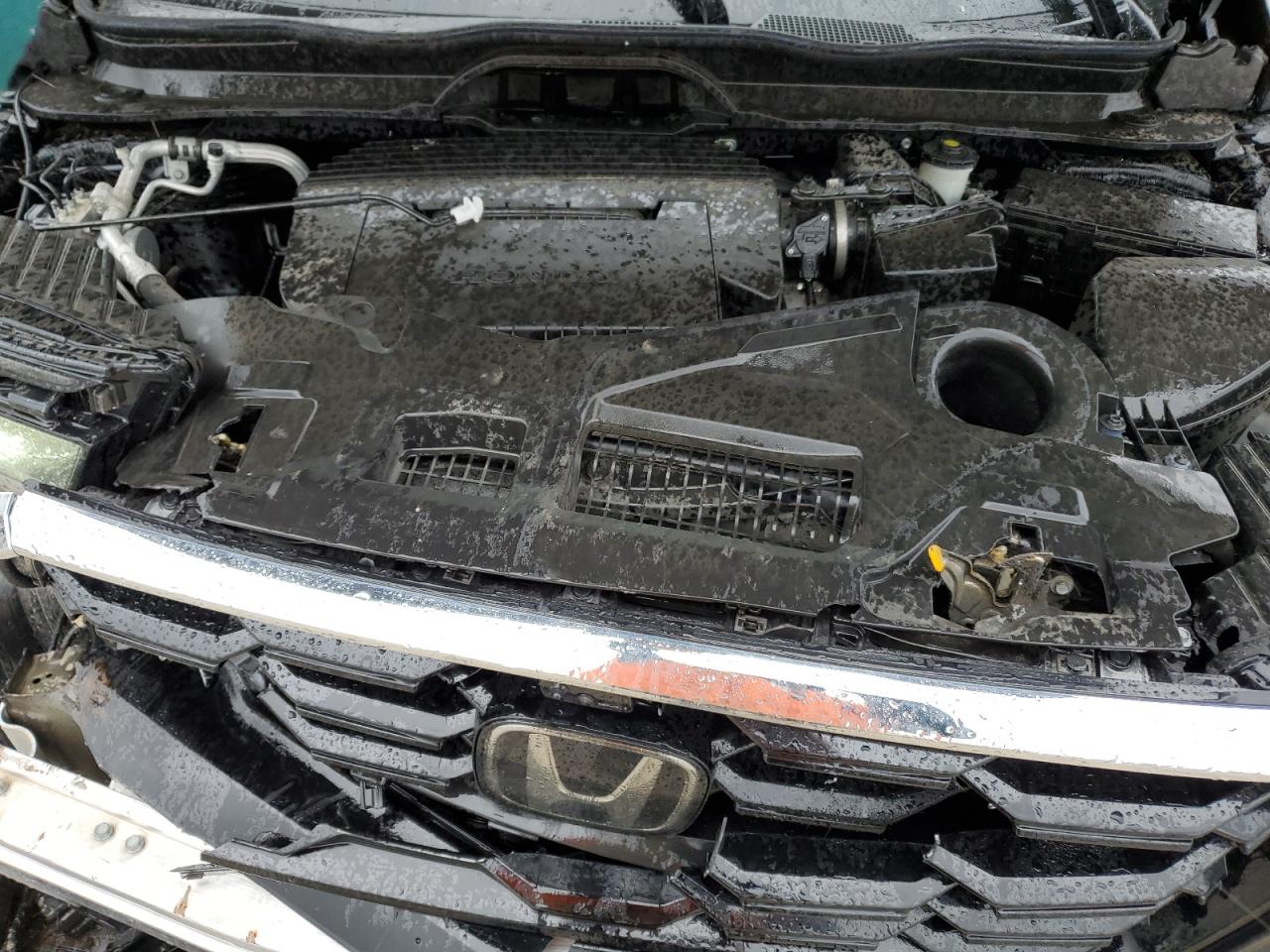 2023 HONDA PILOT ELITE VIN:5FNYG1H82PB042003