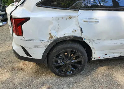 2022 Kia Sorento KNARM81FHNA155884 VIN:KNARM81FHNA155884
