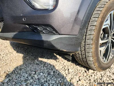 2019 Hyundai Santa FE KMHS381CDKU006781 VIN:KMHS381CDKU006781