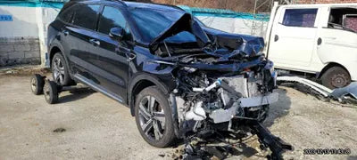 2022 Kia Sorento KNARJ81GBNA090208 VIN:KNARJ81GBNA090208