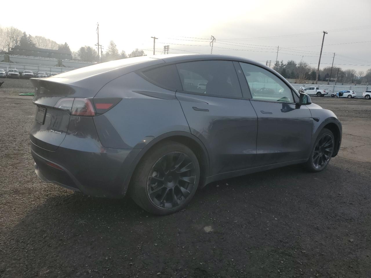 2023 TESLA MODEL Y  VIN:7SAYGDEE3PF905891