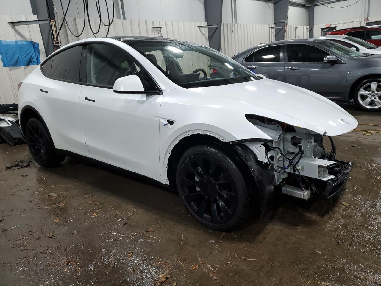 2023 TESLA MODEL Y  VIN:7SAYGDEE5PA189542