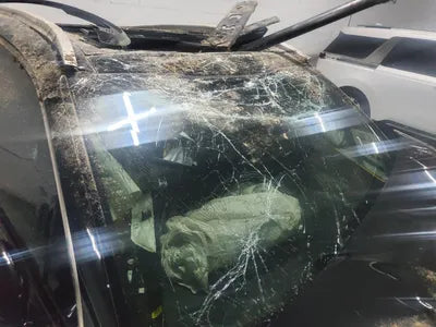 2020 Kia Sorento KNARJ81BHMA019578 VIN:KNARJ81BHMA019578