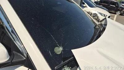 2021 Hyundai Kona KMHK3813GMU806844 VIN:KMHK3813GMU806844
