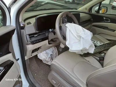 2023 Kia Carnival KNANE81BBPS247295 VIN:KNANE81BBPS247295