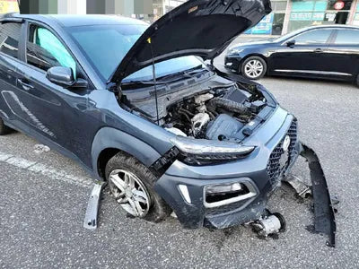 2018 Hyundai Kona KMHK3816GJU139771 VIN:KMHK3816GJU139771