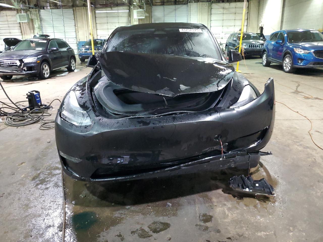 2023 TESLA MODEL Y  VIN:7SAYGDEE3PA181875