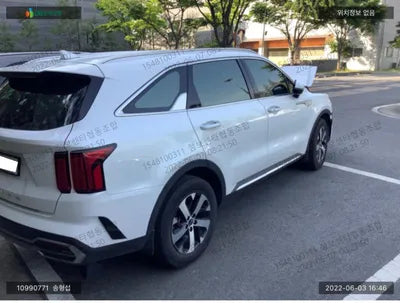 2020 Kia Sorento KNARL81BGMA061716 VIN:KNARL81BGMA061716